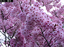 02-05陽光20250403-0055