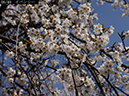 02-08イベンシー20250403-0270