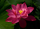 %_tempFileNameh0024-02-20250629-0093%
