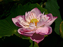 %_tempFileNameh0055-02-20250730-0163%