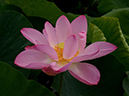 %_tempFileNameh0130-02-20250703-0111%