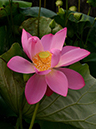 %_tempFileNameh0178-02-20250703-0020%