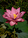 %_tempFileNameh0266-02-20250719-0161%