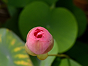 %_tempFileNameh0465-02-20250806-0428%