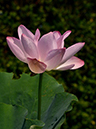%_tempFileNameh0618-02-20250730-0210%
