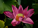 %_tempFileNameh0856-02-20250803-0138%