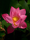 %_tempFileNameh0884-02-20250709-0204%