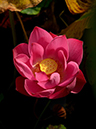 %_tempFileNameh1043-02-20250817-0038%