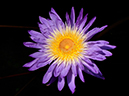 %_tempFileNamen0182-02-20250817-0271%