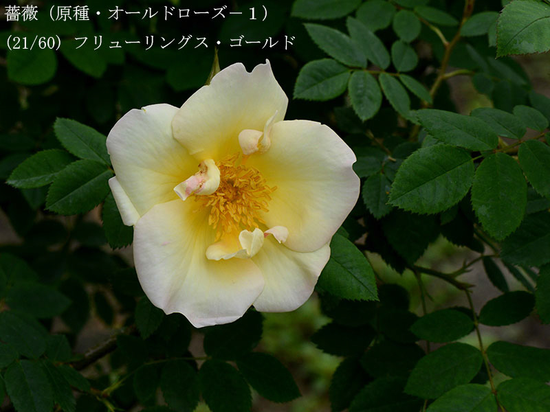 %_tempFileName021-r5524-20260429-0216%