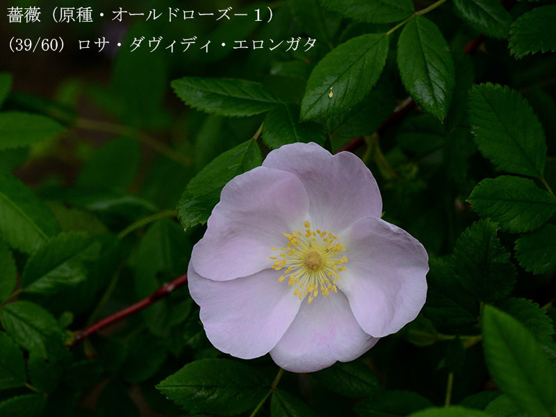 %_tempFileName039-r8003-20260429-0825%