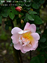 %_tempFileName005-r1755-20260429-0146%