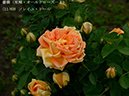 %_tempFileName011-r3566-20260429-0263%