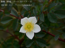 %_tempFileName028-r7427-20260429-0370%