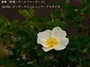 %_tempFileName030-r7773-20260422-0789%