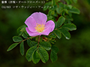 %_tempFileName032-r7927-20260429-0634%