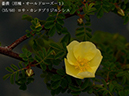 %_tempFileName035-r7954-20260422-0406%