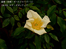 %_tempFileName036-r7955-20260422-0684%