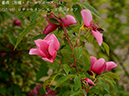 %_tempFileName037-r7961-20260422-0642%