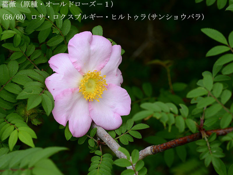 %_tempFileName056-r8140-20260428-0010%