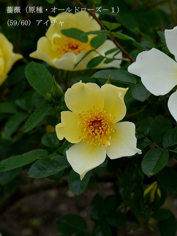 %_tempFileName059-r8855-20260429-0298%