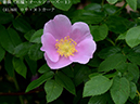 %_tempFileName041-r8011-20260429-0782%