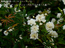 %_tempFileName043-r8022-20260429-0313%