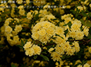 %_tempFileName044-r8024-20260422-0616%