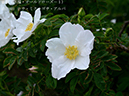 %_tempFileName052-r8080-20260429-0560%