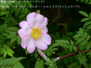 %_tempFileName056-r8140-20260428-0010%