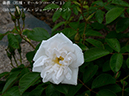 %_tempFileName060-r6452-20260429-0697%