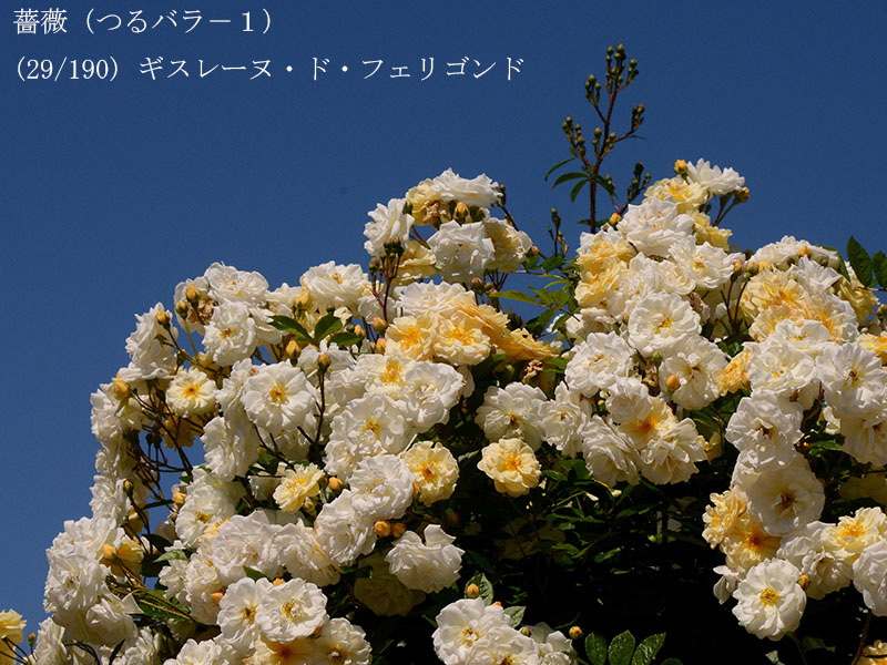 %_tempFileName029-r1599-20260517-0701%