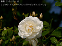 %_tempFileName001-r0127-20260516-0147%
