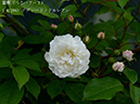 %_tempFileName004-r0222-20260429-1558%