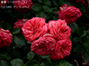 %_tempFileName012-r0516-20260523-1728%