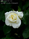 %_tempFileName019-r1141-20260506-1569%