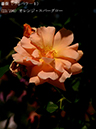 %_tempFileName023-r1325-20260517-0998%