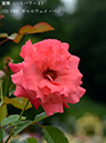 %_tempFileName032-r1652-20260523-1940%