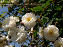%_tempFileName033-r1708-20260517-1153%