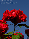 %_tempFileName038-r1883-20260517-0538%