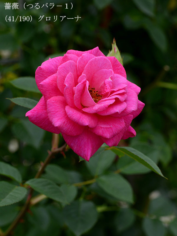 %_tempFileName041-r1985-20260523-1930%