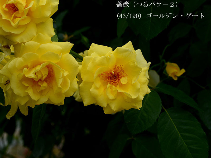 %_tempFileName043-r2091-20260523-1834%