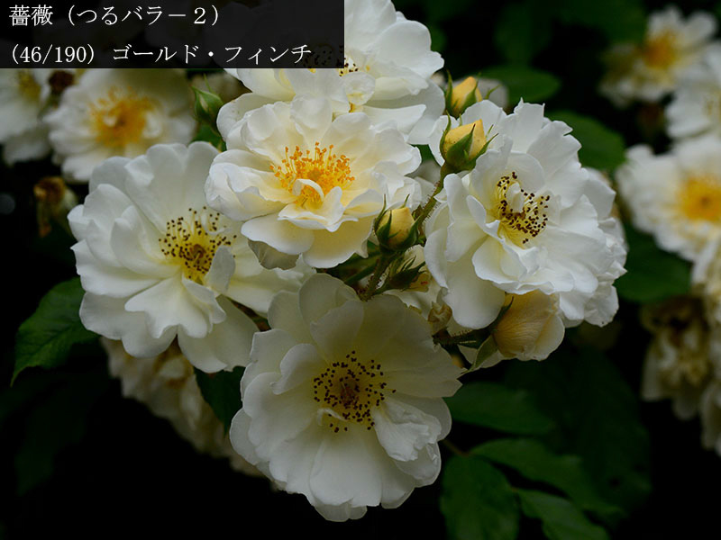 %_tempFileName046-r2160-20260523-1853%