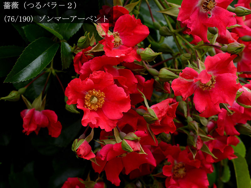 %_tempFileName076-r3582-20260523-1793%