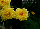 %_tempFileName043-r2091-20260523-1834%