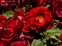 %_tempFileName048-r2211-20260519-0685%