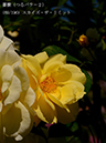 %_tempFileName069-r3258-20260517-0773%