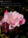 %_tempFileName070-r3365-20260517-1012%