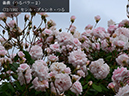 %_tempFileName072-r3447-20260508-0284%