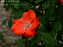 %_tempFileName075-r3568-20260506-1708%
